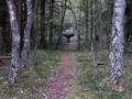 Taastrup-Plantage-03