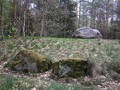 Taastrup-Plantage-07