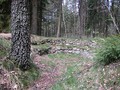 Taastrup-Plantage-09