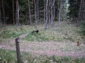 Taastrup-Plantage-02