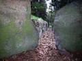 Taastrup-Plantage-05