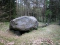 Taastrup-Plantage-04
