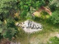 5590500000