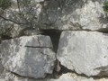 7060991821