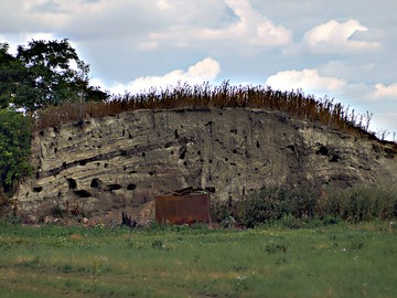 Курган Чука