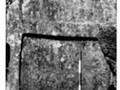 3464674769
