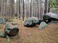 5050529802