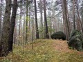 7877471721