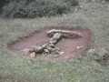 7807908081