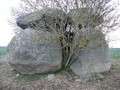 59834992