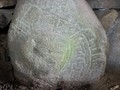590208221
