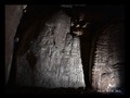 7294070231