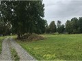 64363434950203