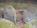 730535279584302