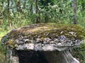 2349820941729