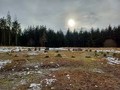 589742092809