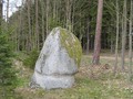 56798063038