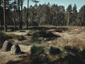 992309487452