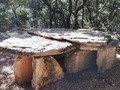 9867394092