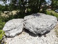 9788497493