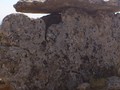 903486079852