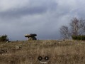 78759203574