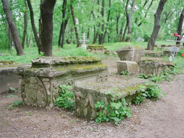 Дьяково городище фото