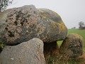 903496402