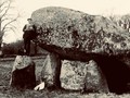 brownshill-dolmen-ireland