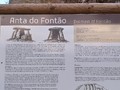 920380597249025