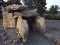 5645646346