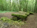 898459024572