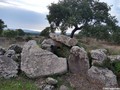 8972374932473