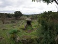 55555-52398192