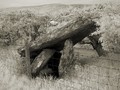 glenroan-portal-tomb-2