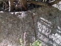 92340293099009