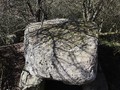 443490449402721