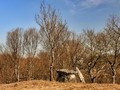 DOLMEN DE MORUXOSA