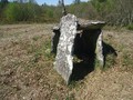 48958239443