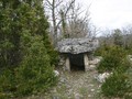 Le_Petit_Dolmen_du_Ferrussac