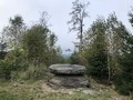 628975325