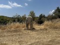9058609384852
