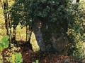 Ajdovska baba