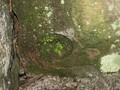 45968734052