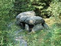 Sieben_Steinh?user_Grab_C_02