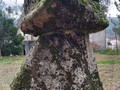 Anta da Arca-