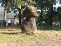 Anta da Arca_