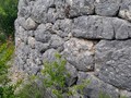 79362497892