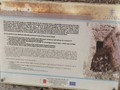 21727955