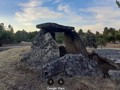753984287343